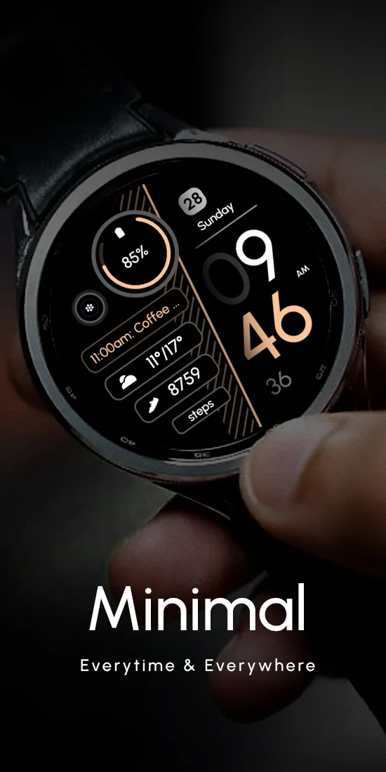 RE55 preview 2