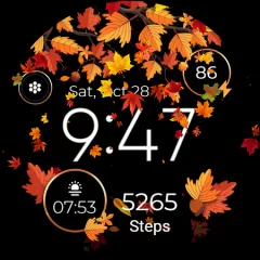 Seasonal Watch